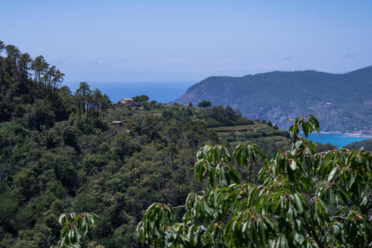 Ca Du Venuto 1, Terremarine Villa Vernazza Eksteriør bilde